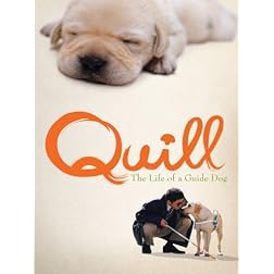 Quill: The Life of A Guide Dog