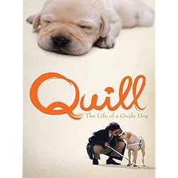 Quill: The Life of A Guide Dog