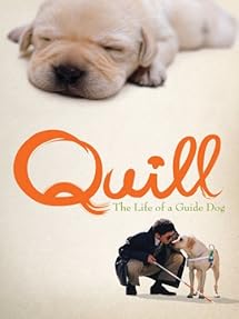 Amazon.com: Quill: The Life of A Guide Dog: K