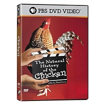 The Natural History of the Chicken