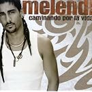 Caminando Por La Vida