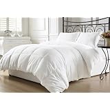 Chezmoi Collection White Goose Down Alternative Comforter (Duvet Cover Insert) Full/Queen