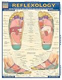 Product details for Reflexology Quick Study Guide