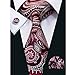 Hi-Tie Mens Stylish Paisley Tie Hanky Cufflinks set