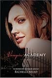 Vampire Academy (Vampire Academy, Book 1)