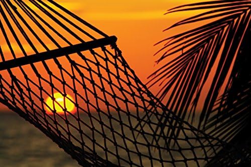 Outdoor Day's End Photographic Print on Canvas 24x36