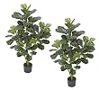 TWO Pre-Potted 4' Artificial Fiddle Leaf Silk Plants