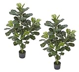 TWO Pre-Potted 4' Artificial Fiddle Leaf Silk Plants