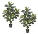 TWO Pre-Potted 4' Artificial Fiddle Leaf Silk Plants