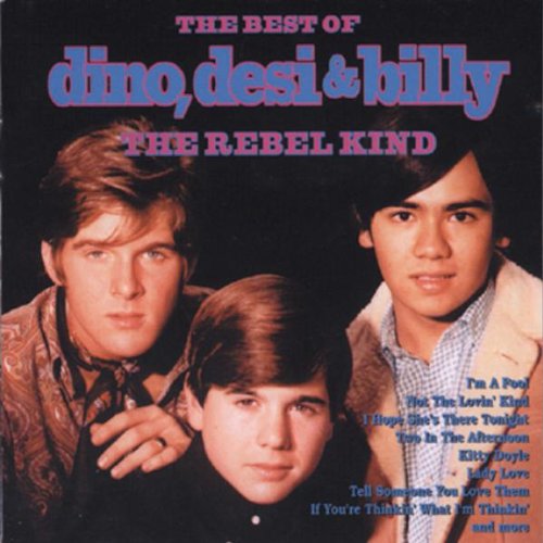 Dino, Desi & Billy - Rebel Kind: Best Of Dino Desi & Billy - Zortam Music
