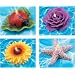 Swimline 4 Piece Floating Candle Set 4 assorted colors