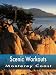 Scenic Workouts Monterey Coast - Including Carmel, Big Sur & Pacific Grove