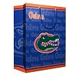 Florida Gators NCAA Medium Gift Bag (9.75 Tall) by Pro Specialties Group
