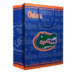 Florida Gators NCAA Medium Gift Bag (9.75 Tall) by Pro Specialties Group