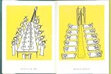 げんきなマドレーヌ (世界傑作絵本シリーズ―アメリカの絵本) 画像