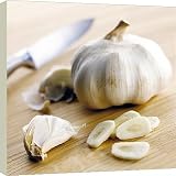 Box Canvas Print of Garlic from Science Photo Library