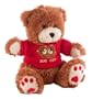 KJB Security TB300 Teddy Bear Camera B/W Hardwired