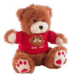 Teddy Bear Nanny Cam Hidden Camera - Wired Color