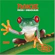 Frogs / Fr�sche 2009. Artwork Edition.