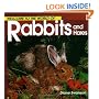 Welcome to the World of Rabbits and Hares
