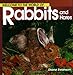 Welcome to the World of Rabbits and Hares (Welcome to the World Series)