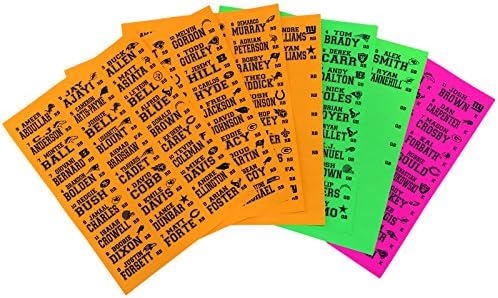 2015 - 2016 Fantasy Football Draft Kit 48" X 24" Board with Neon Labels