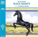 Black Beauty (Junior Classics)