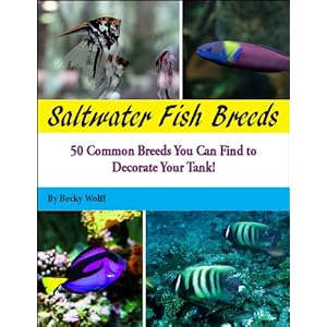 Saltwater Fish Breeds