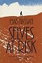 Selves at Risk: Patterns of Quest in Contemporary American Letters