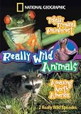 Review Really Wild Animals  / Really Wild Animals - Totally Tropical Rainforest / Amazing North America