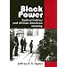 Black Power: Radical Politics and African American Identity (Reconfiguring American Political History)