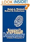 Juvenile Delinquency: A Justice Perspective