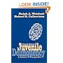 Juvenile Delinquency: A Justice Perspective