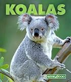 Koalas (New Naturebooks)
