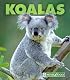 Koalas (New Naturebooks)