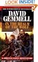 In the Realm of the Wolf (Drenai Tales, Book 5)