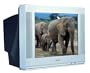 Apex PF-2025 20" Pure Flat Screen TV