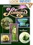 The Collector's Encyclopedia of Limoges Porcelain