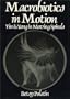 Macrobiotics in Motion, Yin and Yang in Moving Spirals