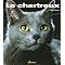 chat perdu race