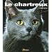 chat perdu race