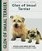 Glen of Imaal Terrier: Special Rare-Breed Edition : A Comprehensive Owner's Guide (Kennel Club Dog Breed Series)