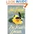 The Texan's Dream (Jove Historical Romance)