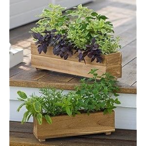 Teak Herb Planter 13 x 3 x 3 Teak Herb Planter 13 x 3 x 3
