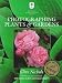 Photographing Plants & Gardens