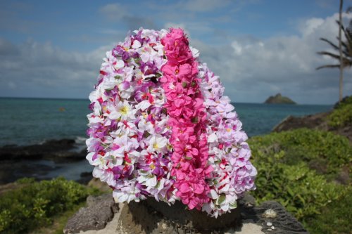 Dendrobium Poepoe, Assorted, 6 Pack 18″ – Hawaii Silk Leis