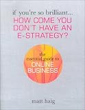 How Come You Don't Have an E-business Strategy?: The Essential Guide to Online Business (If You're So Brilliant)