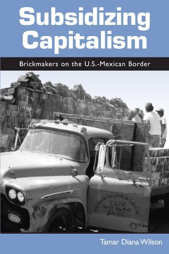 Subsidizing Capitalism: Brickmakers on the U.S.-Mexican Border (SUNY series in the Anthropology of Work)