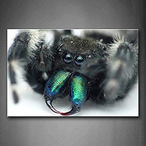 Fitting You Canvas Black Spider With Green Teeth Wall Art Painting Picture Print On Canvas Animal Pictures For Room