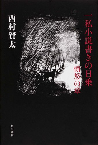 一私小説書きの日乗 憤怒の章 (単行本)